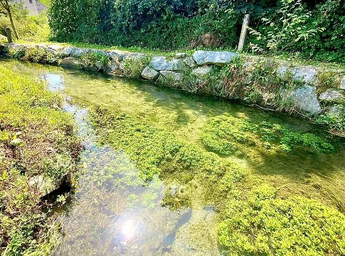 Apartment Waterfront - Urbane Eleganz Am Bachufer Villach